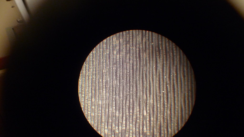 fabric under microscope